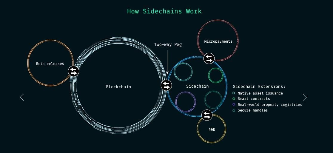 An Introduction to Spiderchain