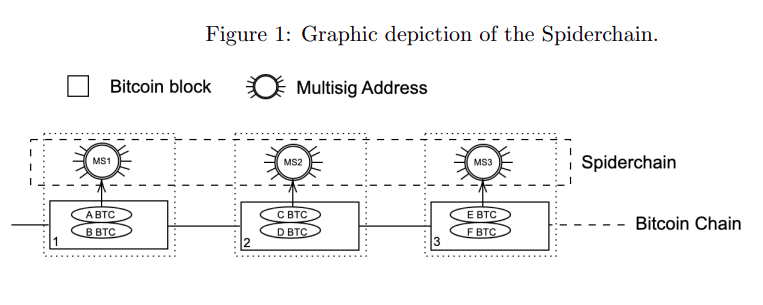 An Introduction to Spiderchain