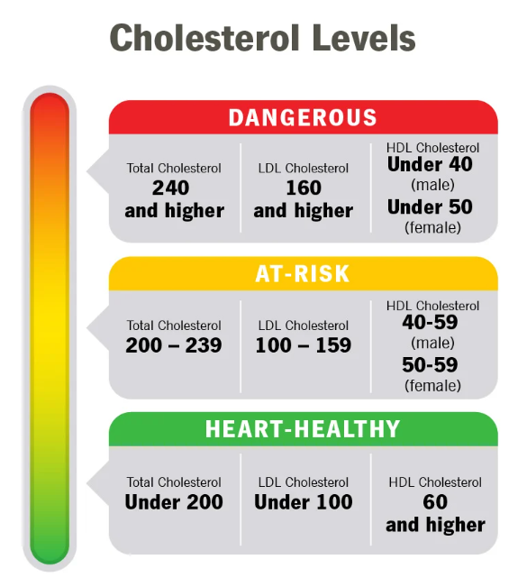 The Myth of Bad Cholesterol