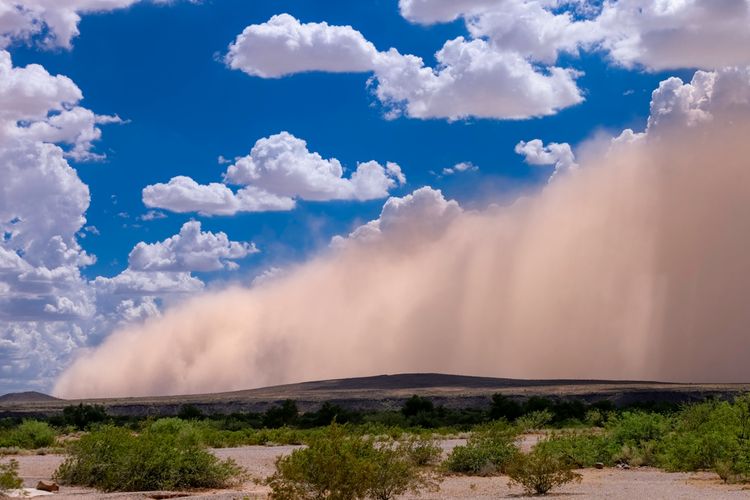 A History of Bitcoin Transaction Dust & Spam Storms